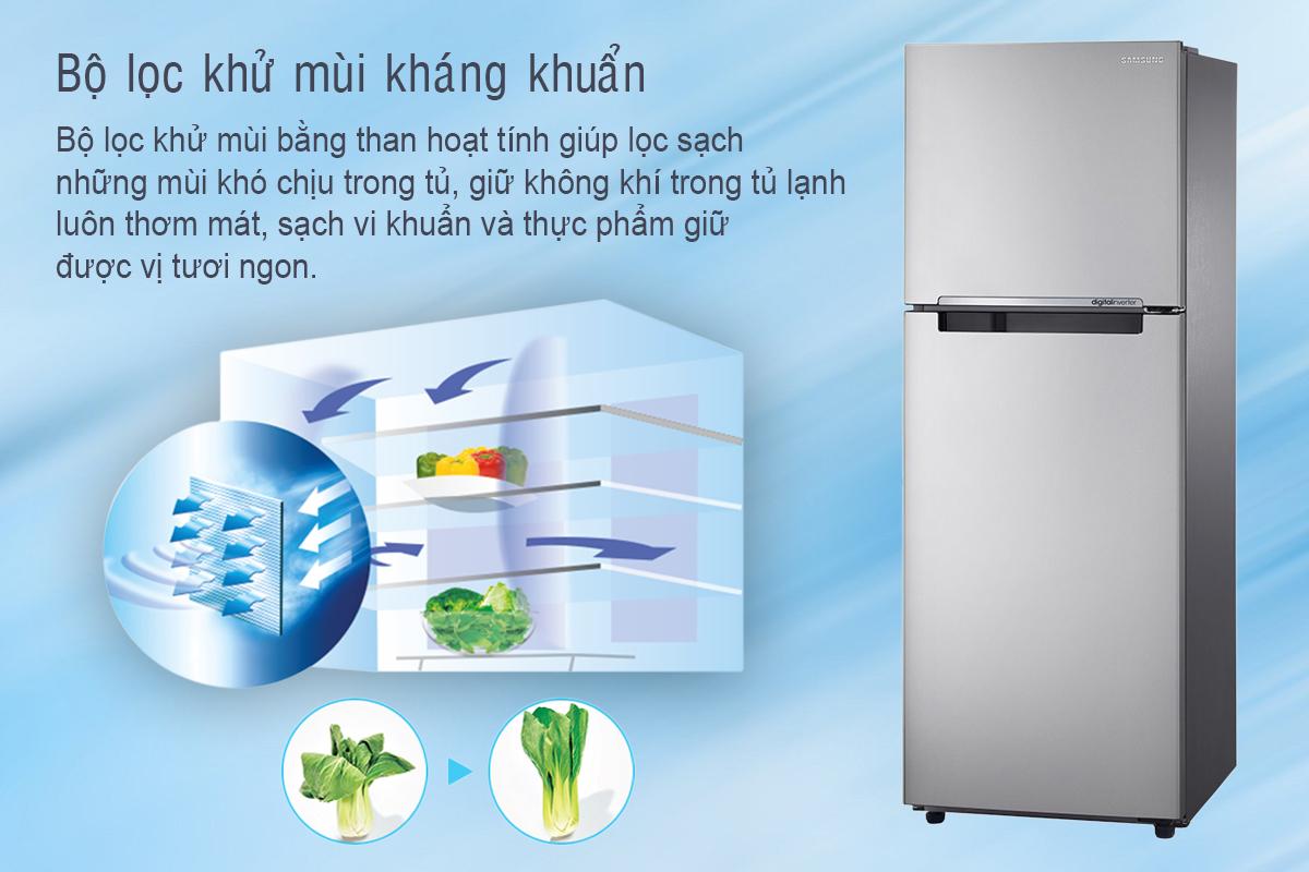 Tủ Lạnh Inverter Samsung RT20K300ASE (208L)